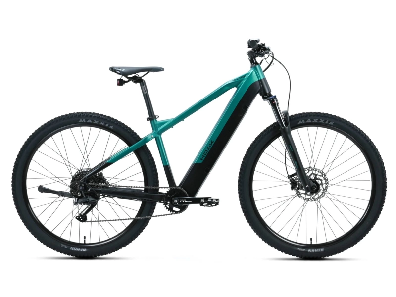 Rower elektryczny Kands Holk 29 czarno-zielony