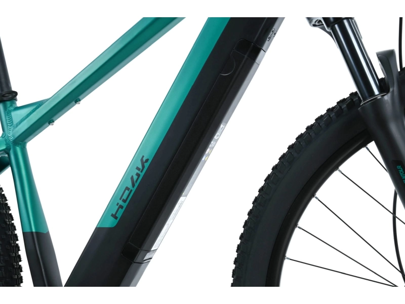 Rower elektryczny Kands Holk 29 czarno-zielony