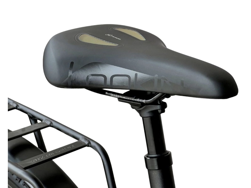 Rower elektryczny Barton M100 720Wh Tytan