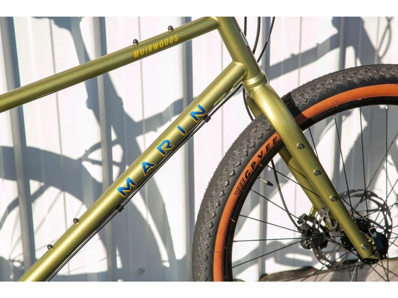 Rower Marin Muirwoods Gold 27.5