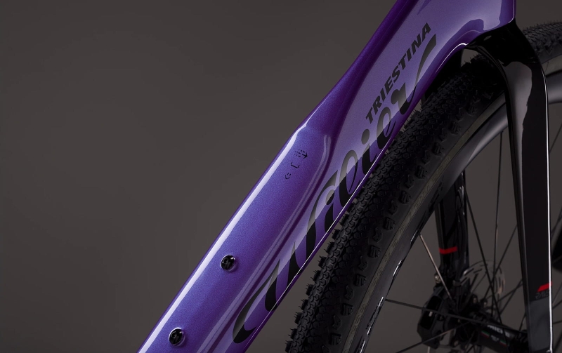 ROWER WILIER RAVE SLR ID2 | GRX Di2 | GRAFF AERO 48 | F-BAR | PURPLE